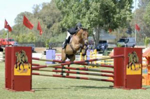 sauts d’obstacles: Ahmed Darghal remporte le Grand Prix S.M. le Roi Mohammed VI