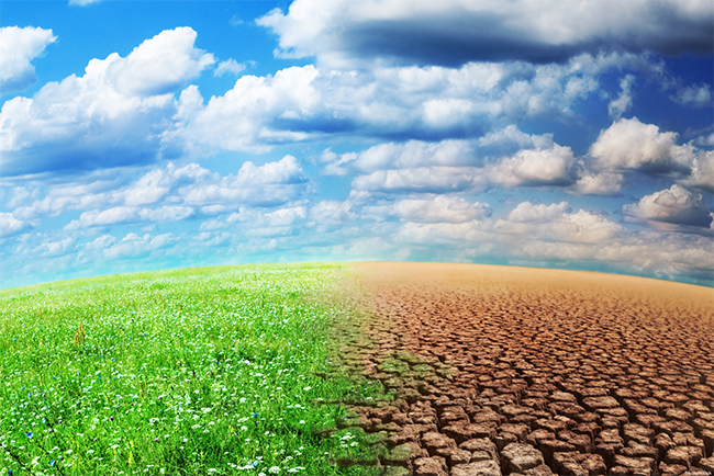 changements climatiques rôle de l’université et du conseil régional