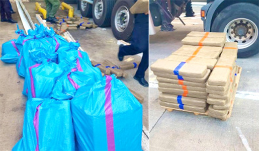 Port Tanger Med: Saisie de 650kg de drogue
