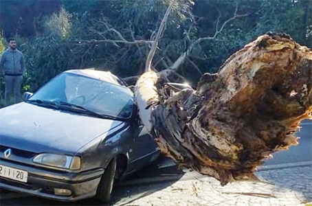 R’milet Chute d’un arbre sur une voiture: deux blessés