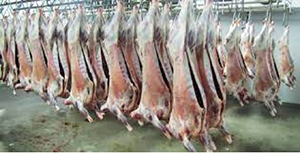 Nouveaux abattoirs de Tétouan Achever ce projet dans les meilleurs délais possibles