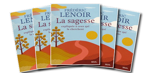 La Sagesse expliquée à ceux qui la cherchent de Frédéric L E N O I R
