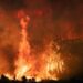 Feux de forêts  Le point sur la situation    dans le Nord