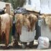 Aïd al-Adha  5.000 tonnes de déchets  collectés à Tanger et Tétouan