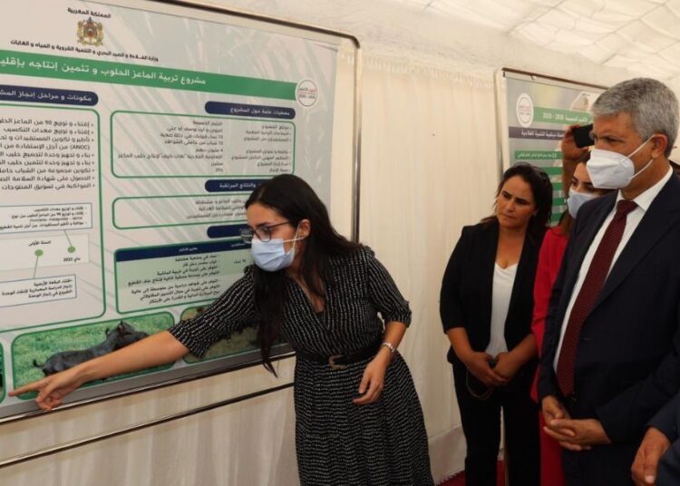 Le ministre de l’Agriculture en visite de travail à Al Hoceima
