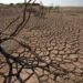 Exode rural A cause de la sécheresse, des familles rurales migrent vers la ville