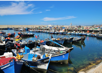 Une délégation africaine visite  la Chambre des pêches maritimes  de la Méditerranée  à Tanger