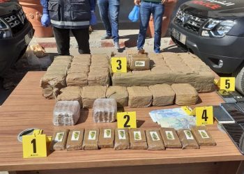 Mise en échec d&rsquo;une tentative de trafic de 86 kg de chira