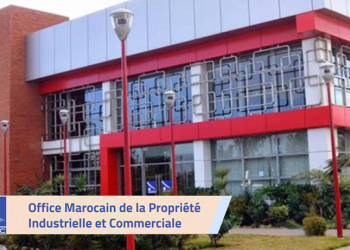 Tanger-Tétouan-Al Hoceima : Plus de 11 440 entreprises créées à fin octobre