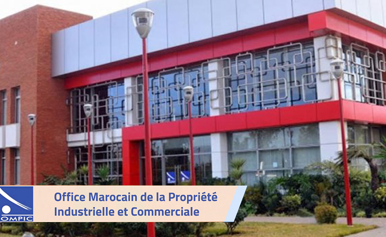 Tanger-Tétouan-Al Hoceima : Plus de 11 440 entreprises créées à fin octobre