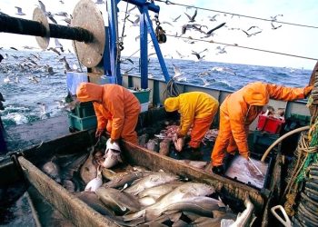 LARACHE : Hausse des débarquements de pêche de 37% à Larache