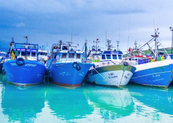 Port de Tanger : Les débarquements de la pêche reculent de 25 % en janvier