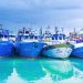 Port de Tanger : Les débarquements de la pêche reculent de 25 % en janvier