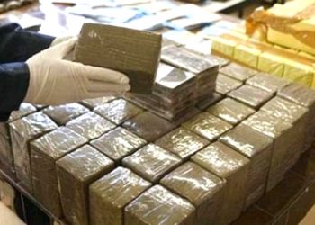 Bab Sebta: Mise en échec d’une tentative de trafic de plus de 21 kg de chira (douane)