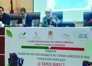 L&rsquo;importance et les bonnes pratiques du semis direct sont au cœur des discussions à Larache