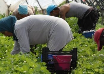 Affaires de Trafics et de Mœurs Souk el-Arbaa el-Gharb