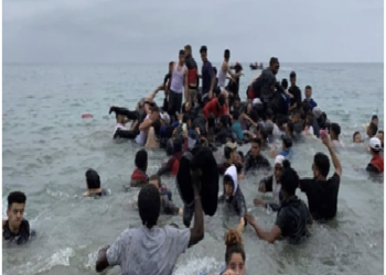 Réseau d’immigration clandestine