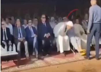 Quand la noblesse manque !