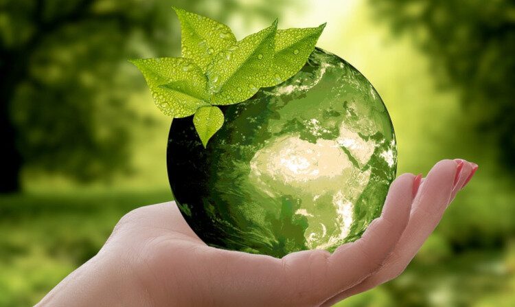 05 JUIN : JOURNEE MONDIALE DE L’ENVIRONNEMENT