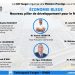 Économie bleue Nouveau pilier de développement pour le Maroc