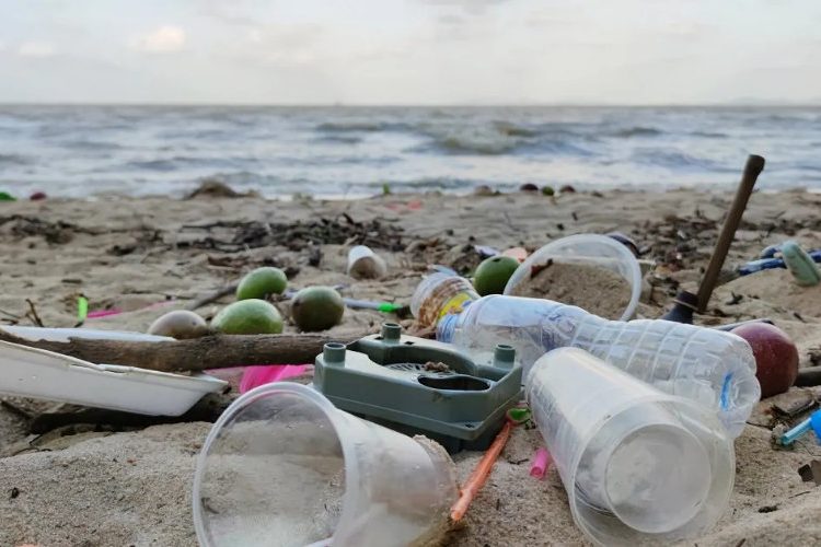 Les principales plages de Tanger officiellement Polluées