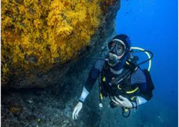 Noyade d’un plongeur