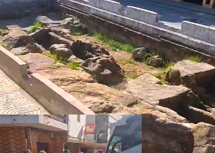 À chacun son métier et à chacun son savoir