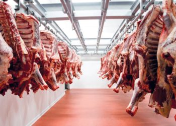 L&rsquo;ONSSA autorise l&rsquo;importation des viandes et mets à jour la liste des pays et des conditions.