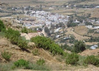 Exploitation d’un terrain de l’État pour usage personnel par un Sheikh dans la province de Tétouan