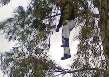Suicide mystérieux d’un jeune homme dans une forêt à Martil