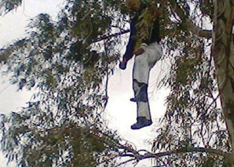 Suicide mystérieux d’un jeune homme dans une forêt à Martil