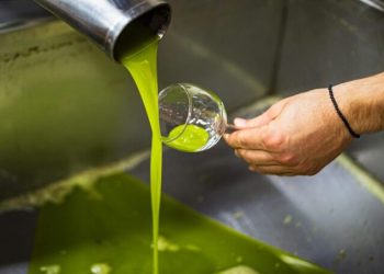Quatre tonnes d’huile d’olive saisies à Dar Ould Zidouh