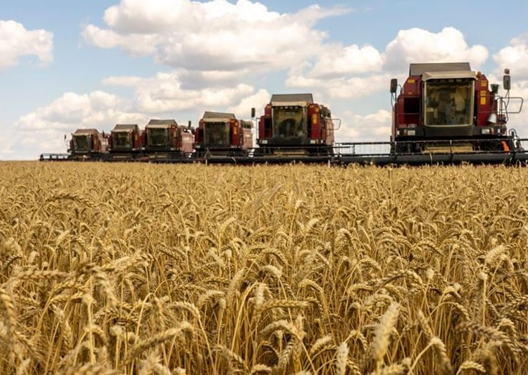 Renforcement des coopérations Maroc-Russie en Agriculture et pêche