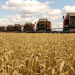 Renforcement des coopérations Maroc-Russie en Agriculture et pêche
