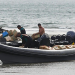 La Gendarmerie Royale saisi une énorme quantité de drogue sur la côte d’Assilah