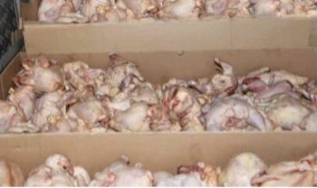 saisi d&rsquo;importantes cargaisons de viande de poulet hachée à Larache