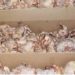 saisi d&rsquo;importantes cargaisons de viande de poulet hachée à Larache
