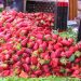 Après une fausse alerte, L’ONSSA dément les rumeurs de contamination des fruits rouges marocaines