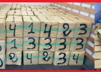 Interpellation due lourde opération de trafic de drogue