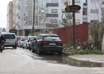 Manque d&rsquo;Entretien des Trottoirs et des Espaces Verts : Une Négligence communale