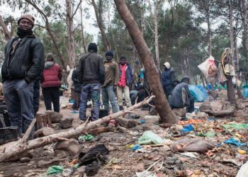 Les autorités rapatrient des centaines de migrants clandestins des forêts du Nord